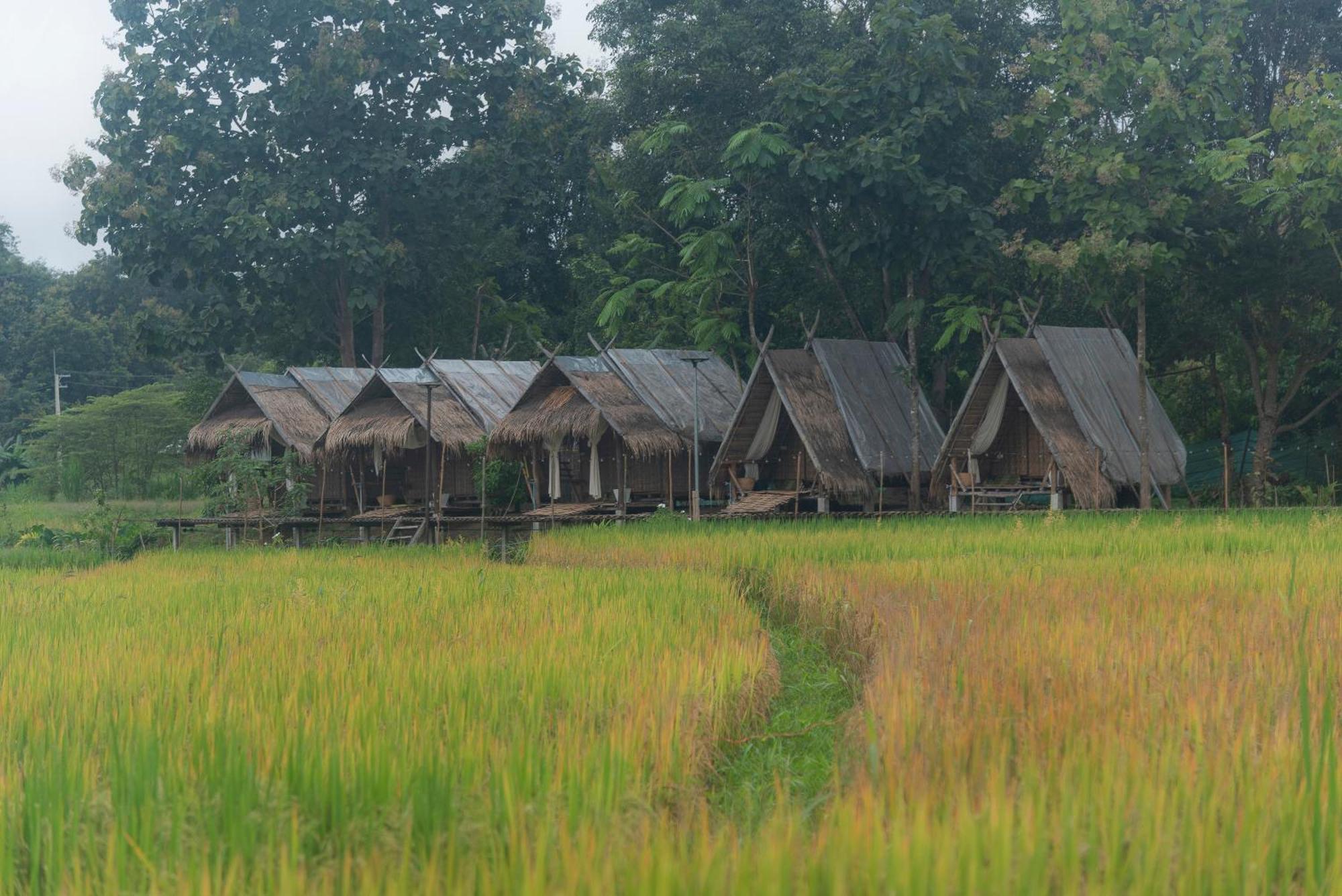 Paddy Fields Haven - Natures Nest Pai Esterno foto