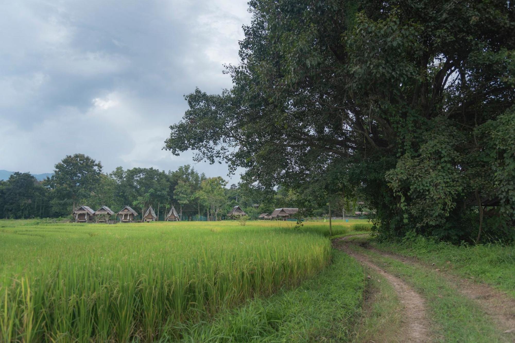 Paddy Fields Haven - Natures Nest Pai Esterno foto