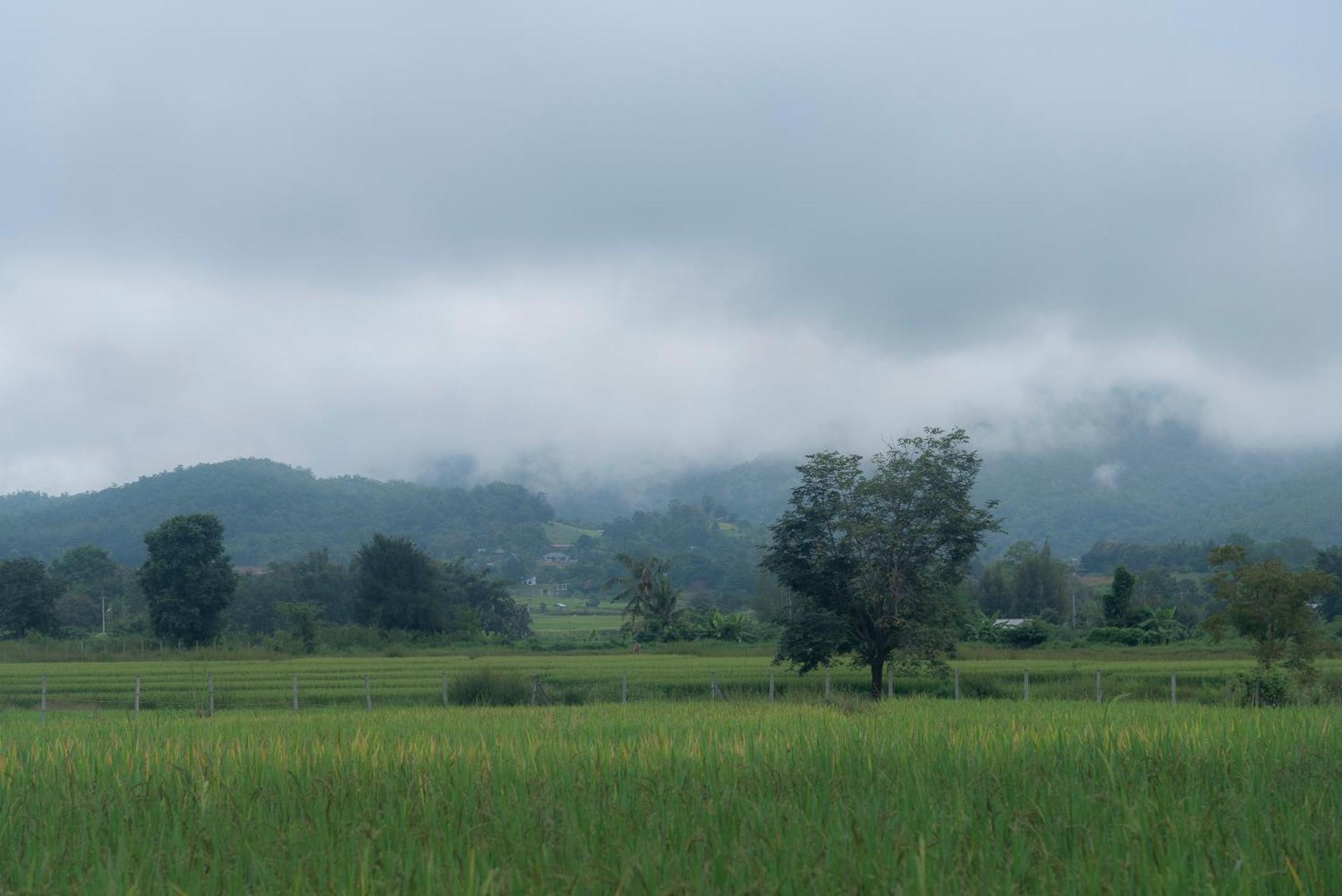 Paddy Fields Haven - Natures Nest Pai Esterno foto
