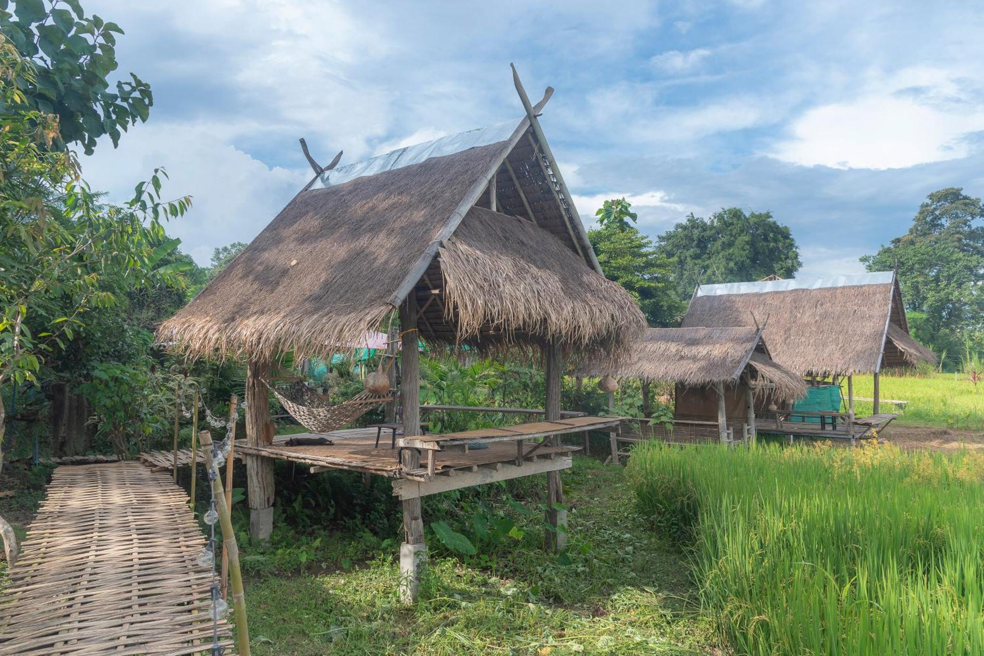 Paddy Fields Haven - Natures Nest Pai Esterno foto