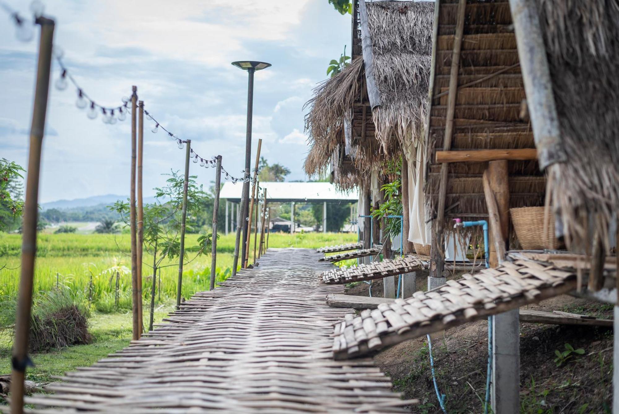Paddy Fields Haven - Natures Nest Pai Esterno foto