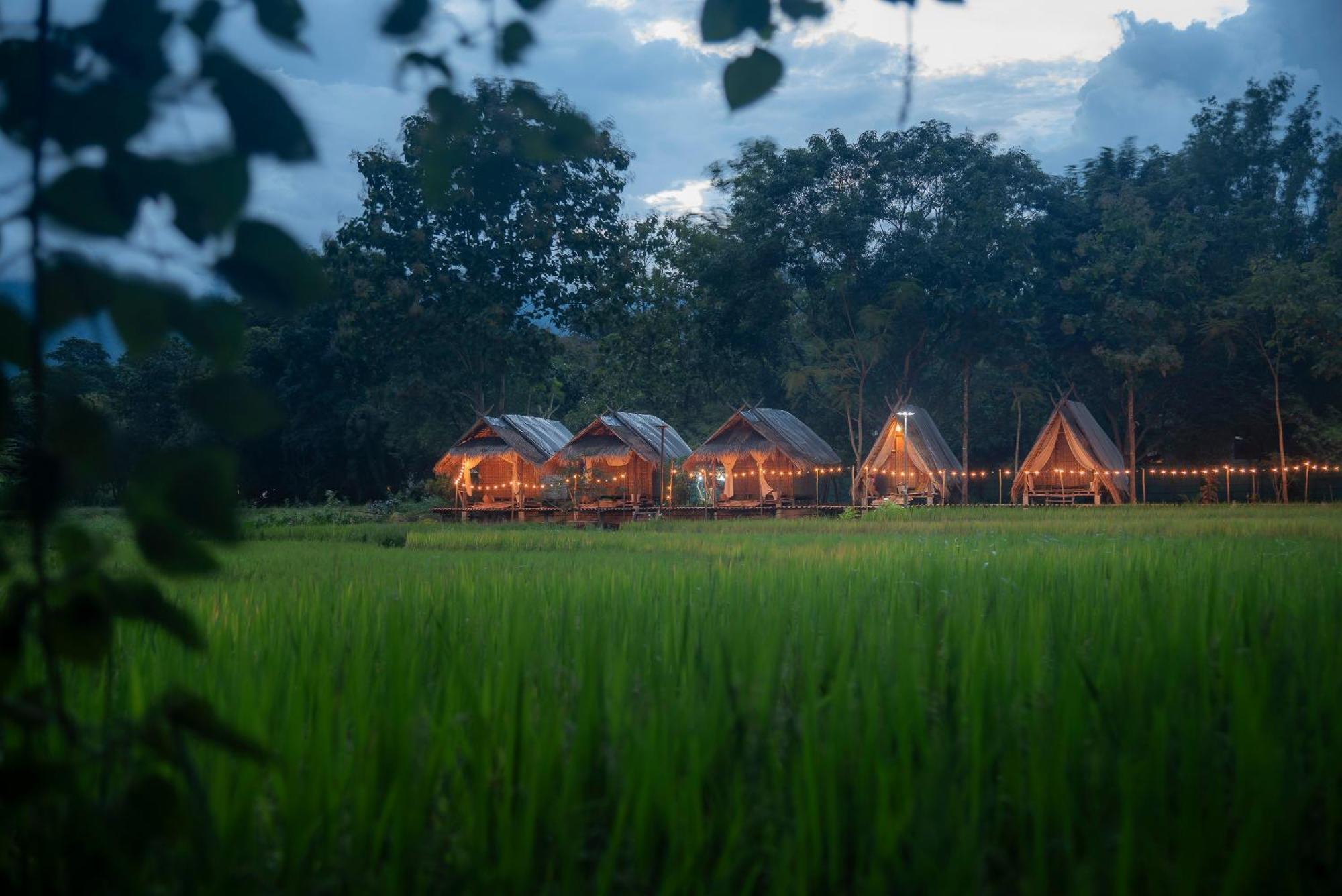 Paddy Fields Haven - Natures Nest Pai Esterno foto