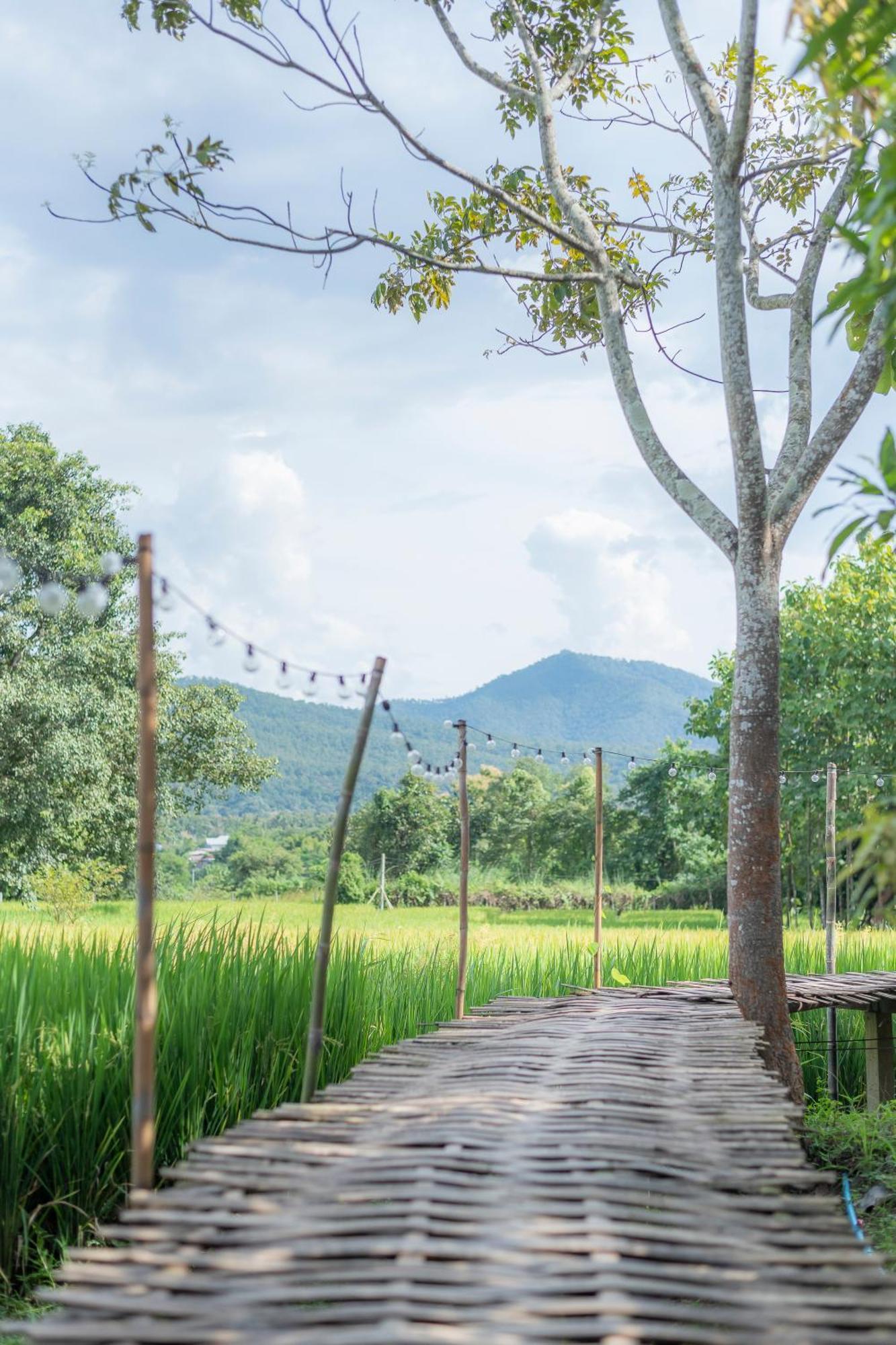 Paddy Fields Haven - Natures Nest Pai Esterno foto