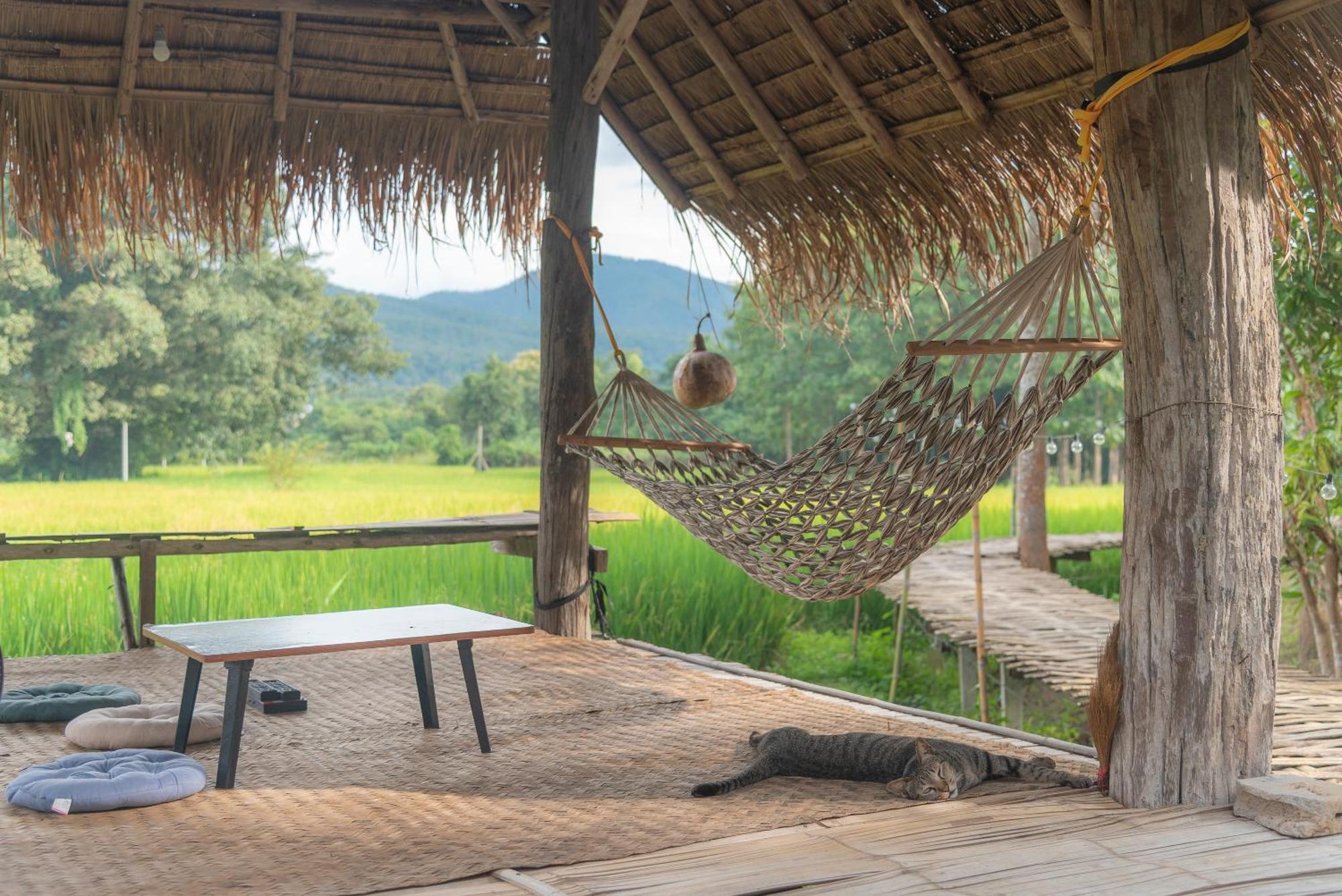 Paddy Fields Haven - Natures Nest Pai Esterno foto
