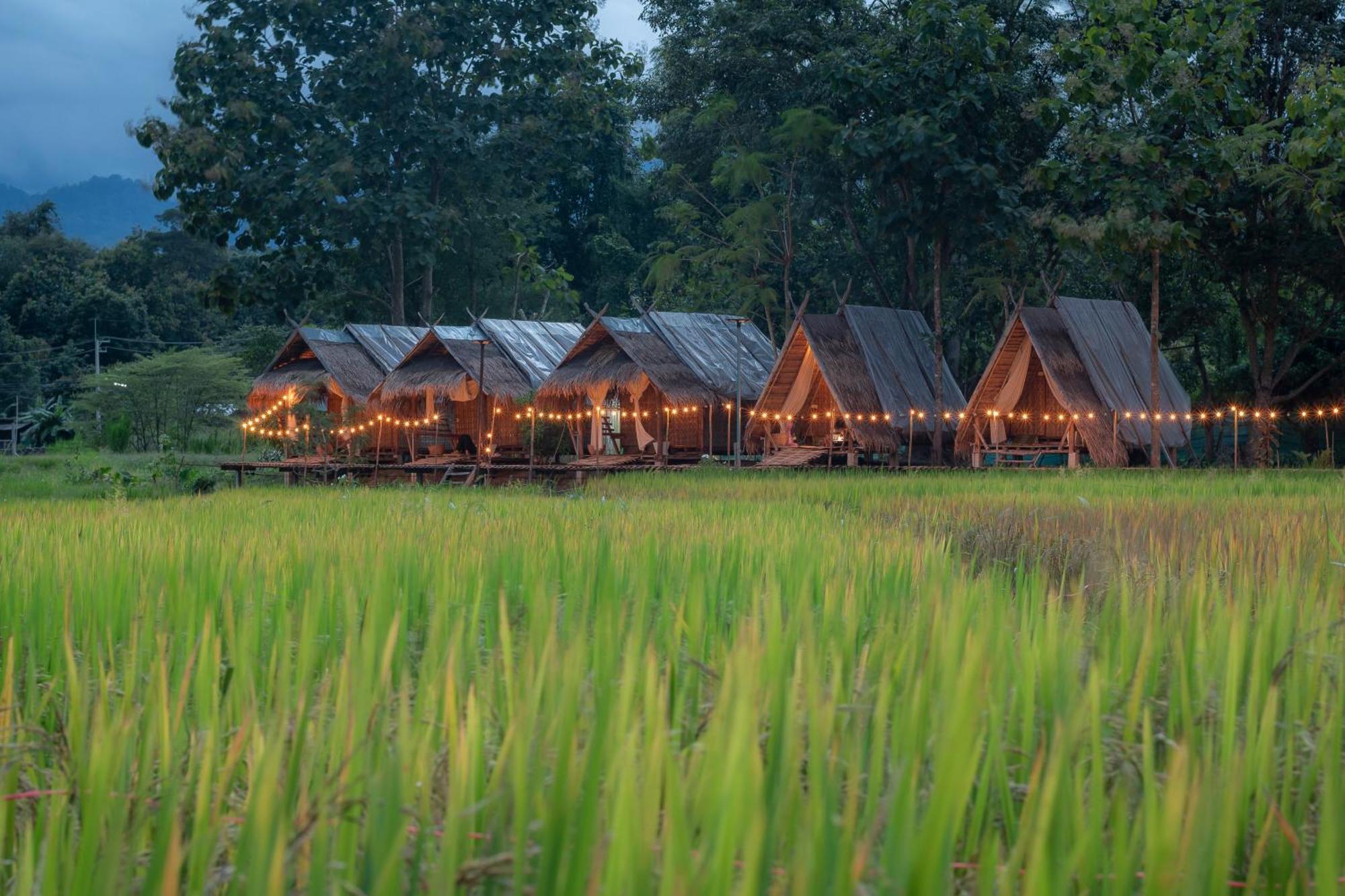 Paddy Fields Haven - Natures Nest Pai Esterno foto