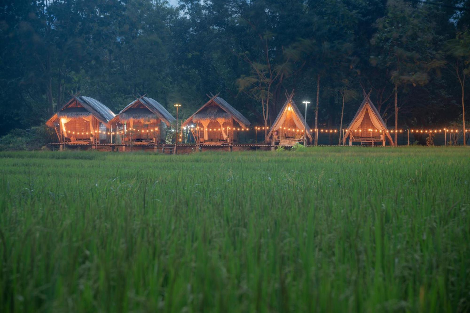 Paddy Fields Haven - Natures Nest Pai Esterno foto